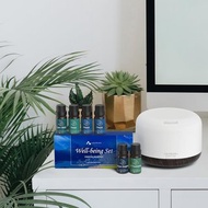 【6枝精油+擴香氛機】日本香薰機+複方精油 男女朋友貼心生日禮物