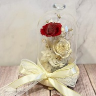 小香永生玫瑰花配熱情紅玫瑰玻璃鐘罩電池夜燈款