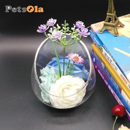PETSOLA Slant Cut Bowl Glass Vase Candy Dish Fruit Jar Glass Terrarium Bowl for Tabletop