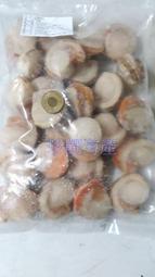 【珍饌海產】熟凍帆立貝M 有卵帆立貝 扇貝肉 可刷卡💳 💰