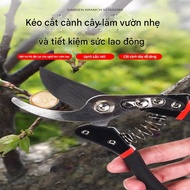 V-9 tree branch cutting shears, Gardening tools fruit tree pruning shears-SIMUN