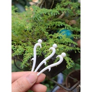 Bridge head and bone cricket legs for piercing cages