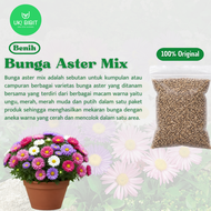 ( 10 Butir ) Benih Biji Bunga Aster Putih | Bunga Aster Mix | Bunga Daisy