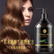 Black Ganoderma lucidum and Polygonum multiflorum shampoo黑灵芝何首乌洗发露植物萃取300ml