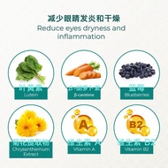 Qn Wellness Vision Care‚Ñ¢ - 60 Veggie Capsules x 2 Boxes [Valued Pack]