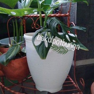 NKT Flower Pot Jar 21 Tall Model