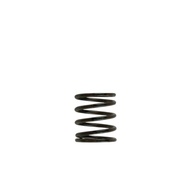 Turbosmart Wastegates Spring 3Psi Inner Spring - WG38 /40 /45 / IWG Brown / Black TS-0505-2001