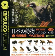 KAIYODO 海洋堂 日本の動物コレクション2 沖縄奄美/やんばるの森 Capsule Q Museum 日本之動物 第2彈 (全套12隻) 2013年