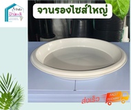 จานรองกระถาง size ใหญ่  จานรอง Air pot จานรองกระถางผ้า จานรองอ่างบัว สีขาว หนา เหนียว