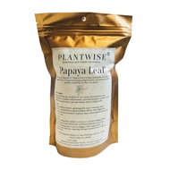 Tea Voyage Plantwise Papaya Leaf ( 2g x 20 Herb Bags)