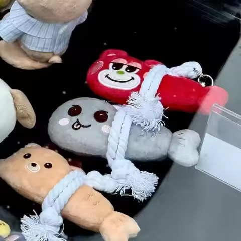 New Kpop Korean Plush Keychains Shotaro Eunseok Sungchan Wonbin Keyring Cartoon Decoration Lovely Co