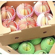 Fruits Memo Pad / Cute Gift / Children Day / Christmas / Goodie Bag