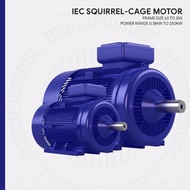 TRI ( IE2 ) 0.25hp ( 0.18kw ) 4pole ( rpm1320 ) x 3phase Aluminium Foot Mounted B3 IP55 415v/50hz TR