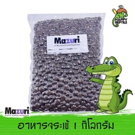 Mazuri Crocodilian Diet อาหารจระเข้ สัตว์เลื้อยคลานกินเนื้อ มาซูริ ขนาด 1 กิโลกรัม