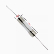 ((10 Pcs) 5 * 20mm with Lead Pin Glass Fuse/Tube 250V Quick Fuse F0.5A/1/2/4/5/10/3.15A
