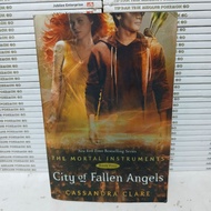 CITY OF FALLEN ANGELS BOOK