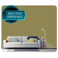 NIPPON Exterior paint Q-Shield 5 Liter - BGG1737D GREEN MILE