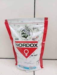 Nordox 1kg fungisida dan bakterisida