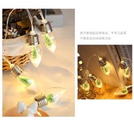 Christmas Snow Globe String Lights (2Meters) ; LED許願瓶聖誕燈串(2米長)