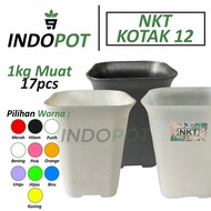 NKT Square Pot Size 12 - NKT Square Pot 12 Colorful - Mini Square Pot - Small Plastic Pot - Tall Squ