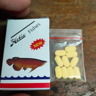 Hobie fishes ikan / Obat Arwana PerPcs