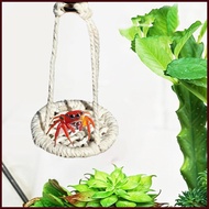 Jumping Spider Bridge 2 Pieces Cotton Rope Natural Hammocks Jumping Spider Enclosure Accessories for