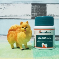 Himalaya Liv 52 Forte Vet Tablets for Liver Care of Dogs and Cats (60 tabs)