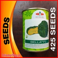▬ ❖ ℗ BELLA F1 HYBRID SQUASH SEEDS (50 GRAMS OR 425 SEEDS) EAST WEST SEEDS