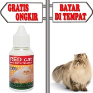Obat Telinga Kucing Sakit Congean Tetes Kutu Kuping Redcat
