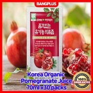 [GNM] Turkish Organic Pomegranate Juice 13.5 Brix sugar 70ml×30pack (1 box)
