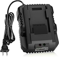 Amityke 4000mAh 40V Charger Compatible with Ryobi 40-Volt Battery Replacement for Ryobi 40V Charger