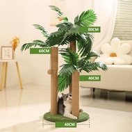 BHQ PET COD คอลัมน์ขูดแมว แมวต้นไม้แมวปีนกรอบ เสาลับเล็บแมวได้ ทนต่อการขีดข่วน สูง80 cm ของเล่นแมว