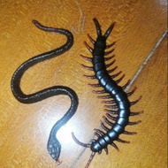 Miniature Snake Worms Centipede Legs Centipede prank toy Rubber