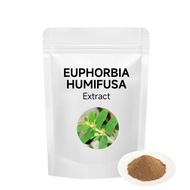 High Purity Water Soluble 10:1 Euphorbia Humifusa Extract Powder Natural Euphorbia Extract