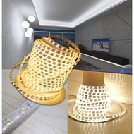 Complete Set Warm white LED Strip Lights 2835 IP65 220v for ceiling cove light, decor light