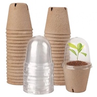 【COLORFUL】Plant Pots For Grow Nursery With Humidity Dome Garden Plant Pots Home Garden Pot