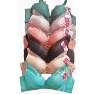 Elena Exclusive Thin Foam Underwire Bra 82207 Size 34B-40B