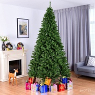 Christmas Decorations Green 1.2/1.5m/1.8m/2.1m Tree Bare Luxury Encrypted Iron Feet TUFC