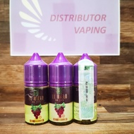 Ready JT LIQUID EL HIELO DE UVA SALT SALTNIC 30ML NIC 25MG GRAPE MINT SALTNIC