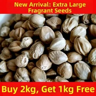 Five Spice Large Roasted Hemp Seeds