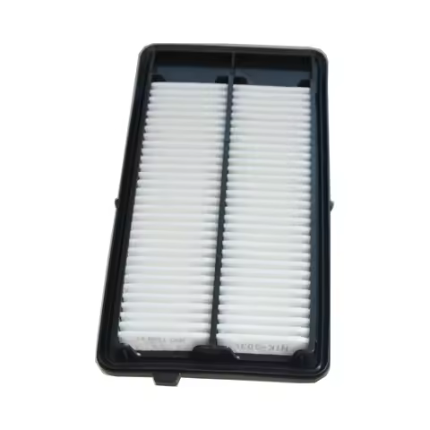 Engine Air Filter For NISSAN QASHQAI J11/X-TRAIL T32 2.0 2WD/RENAULT KADJAR/KOLEOS SCe200 165467FK1A
