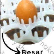 TERLARIS EGG TRAY 42 KECIL / BESAR - RAK TELUR - TEMPAT PENETASAN TELUR AYAM | COD