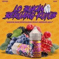 Dripstate Grape Berry Salt Nic 30Ml By Dripstate.Id - Liquid Dripstate
