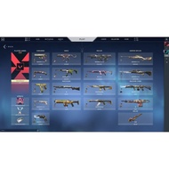 VALORANT ACC WITH CHAMPION SKIN (READ DESCRIPTION)