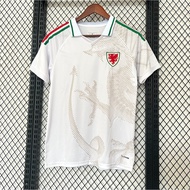 Fan 2026 Wales away game football jersey S-4XL