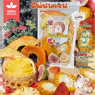 Chintrovert | Dried mix fruit Seasonal Mixed Fruits 35g.| Rabbit Chinchilla Guinea Pigsby Ham Sugar 