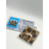 龙婆本 （lp pern wat bang phra）