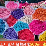 Yunnnan Immortal Gypsophila Gypsophila Immortal Flower Cross-Border Bouquet Amazon Dried Flower Gyps