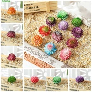 ECHOX 2pcs Artificial Succulent Plants, DIY Mini Fake Succulent Flocking Plants, Fake Succulent Plan