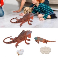 ebayst-my Zerodis Iguana Life Cycle Model Joint of Educational Toys for Children Environmental Mater